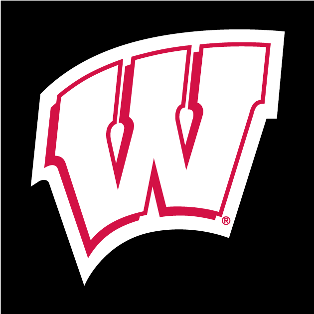 Wisconsin Badgers 1991-Pres Alternate Logo diy fabric transfer